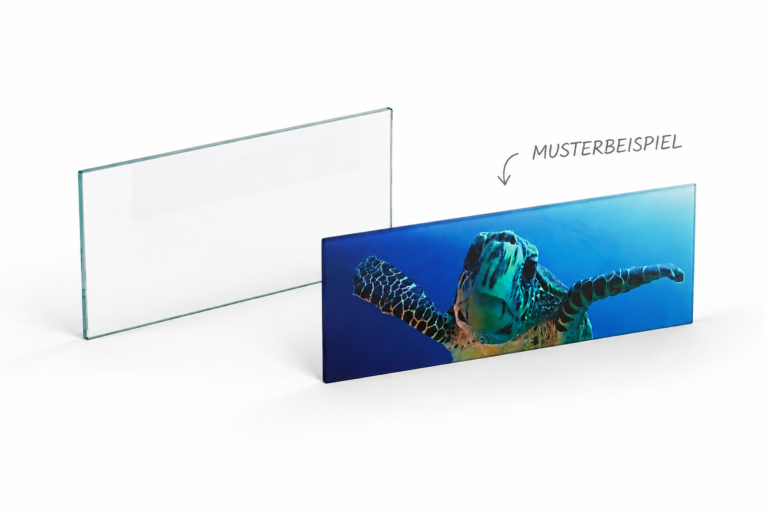 Glasscheibe "Rechteck 6mm Float" diverse Größen
