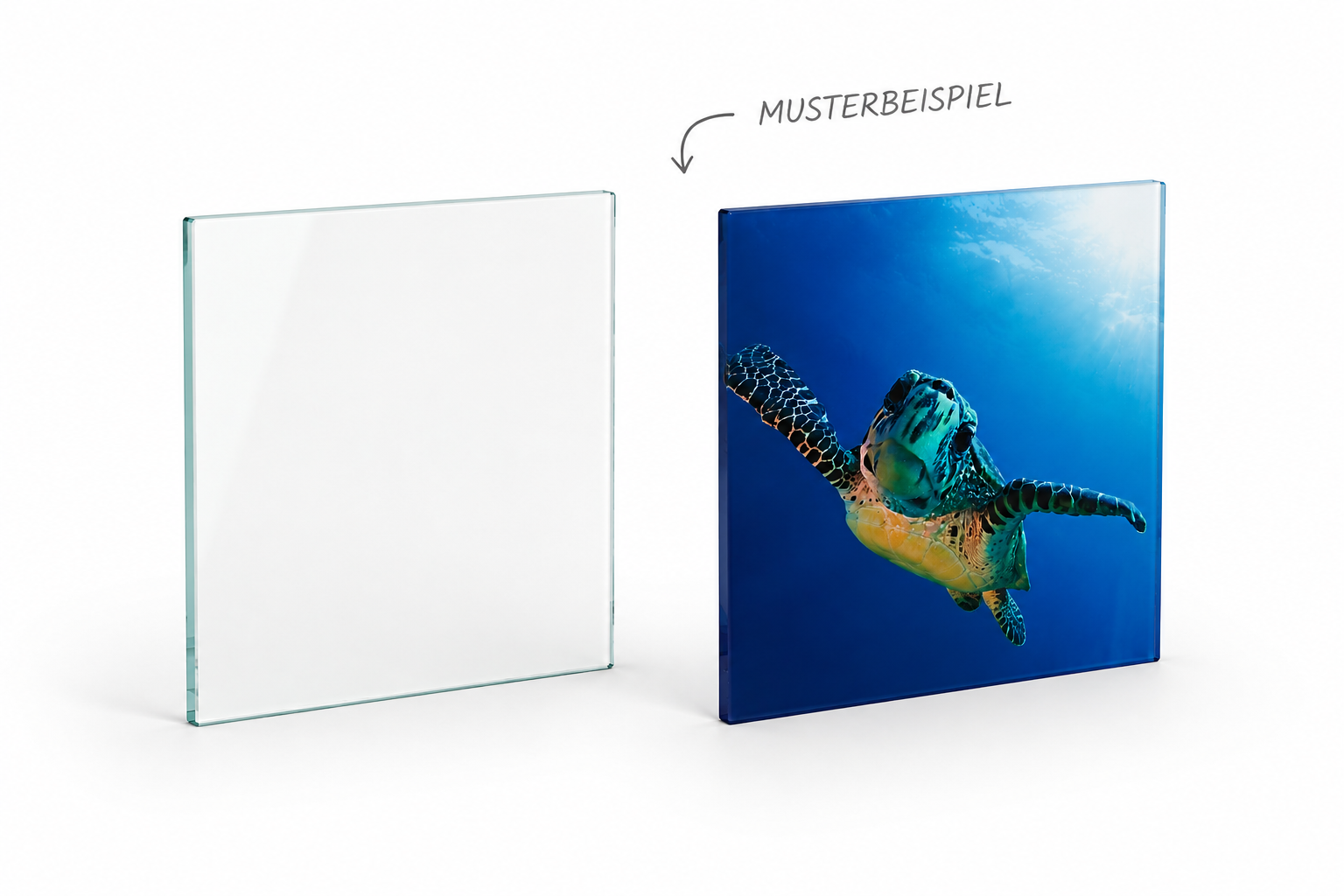 Glasscheibe "Quadrat 6mm Float" diverse Größen