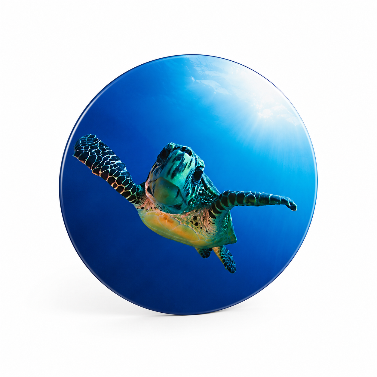 Glasscheibe "Rund 6mm Float" diverse Größen