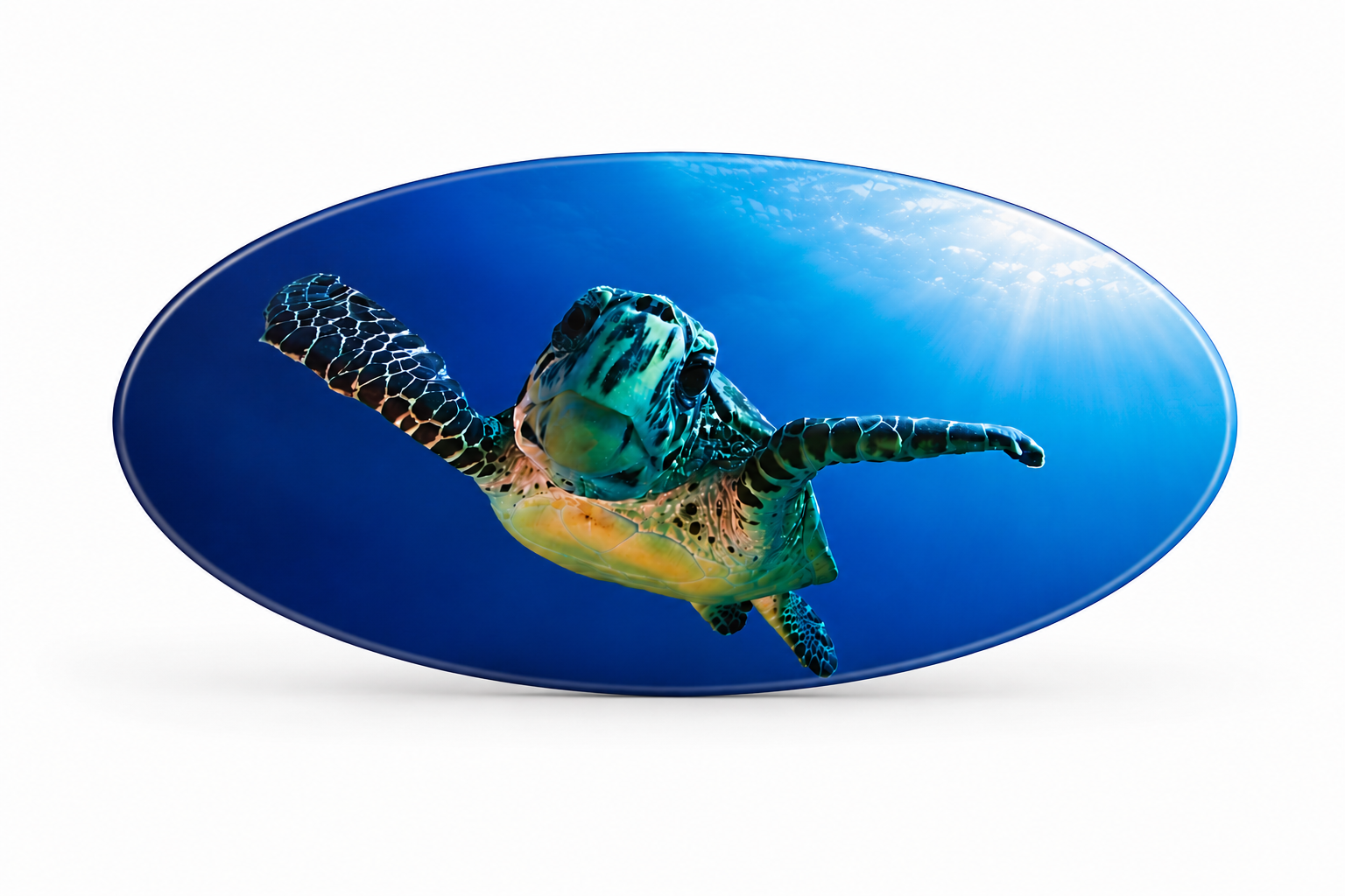 Glasscheibe "Oval 6mm Float" diverse Größen