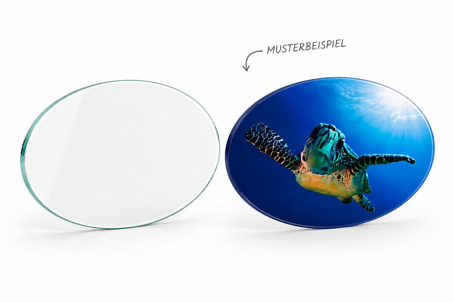Glasscheibe "Oval 6mm Float" diverse Größen
