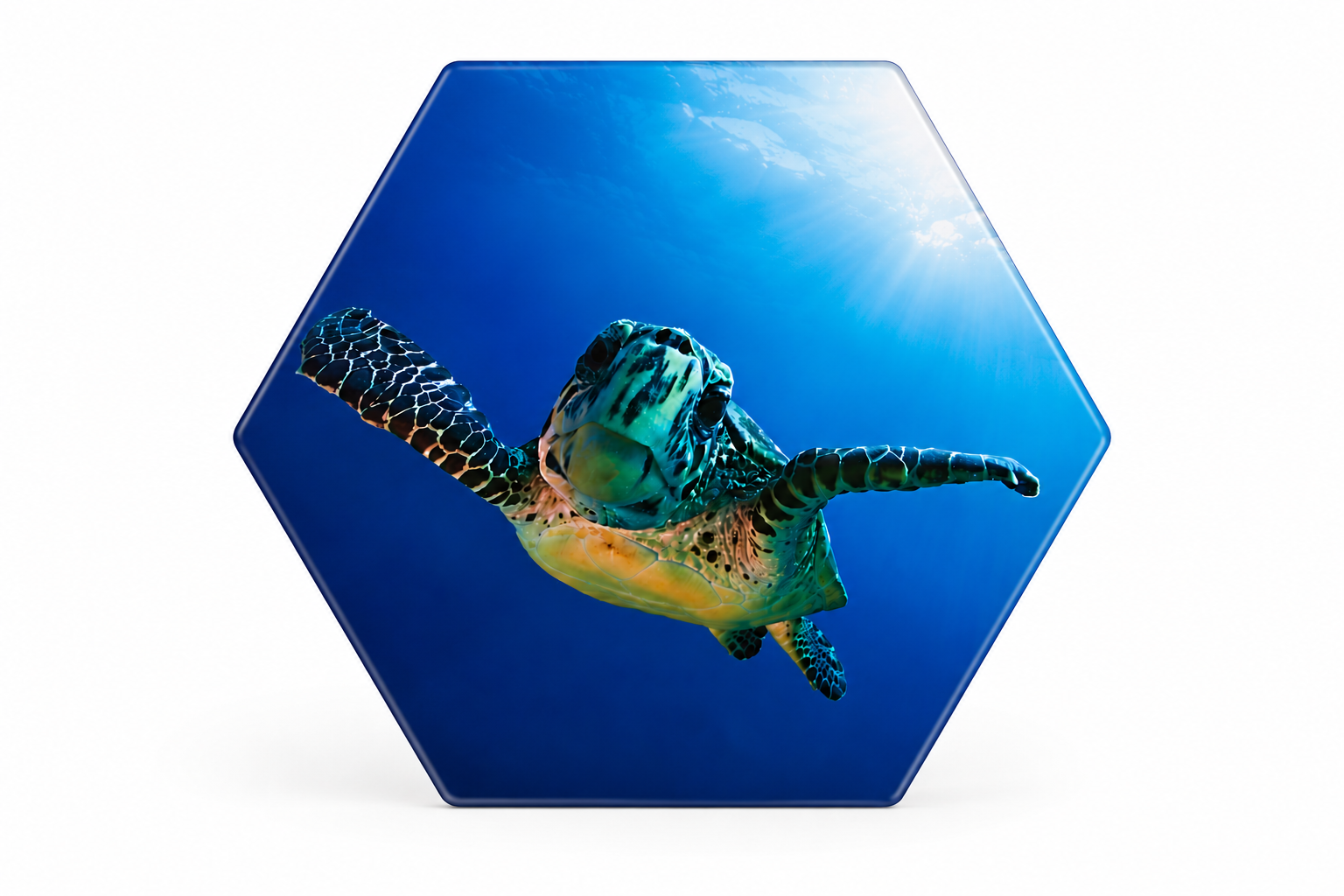 Glasscheibe "Sechseck 6mm Float" diverse Größen
