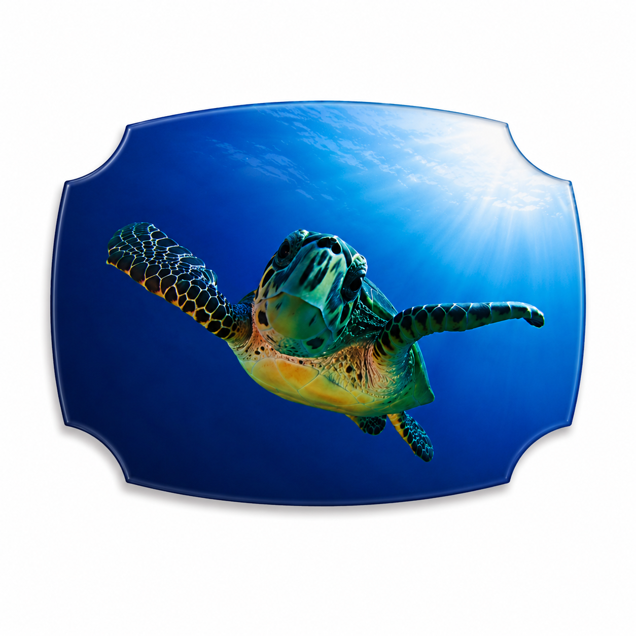 Glasscheibe "Designform 6mm Float" diverse Größen