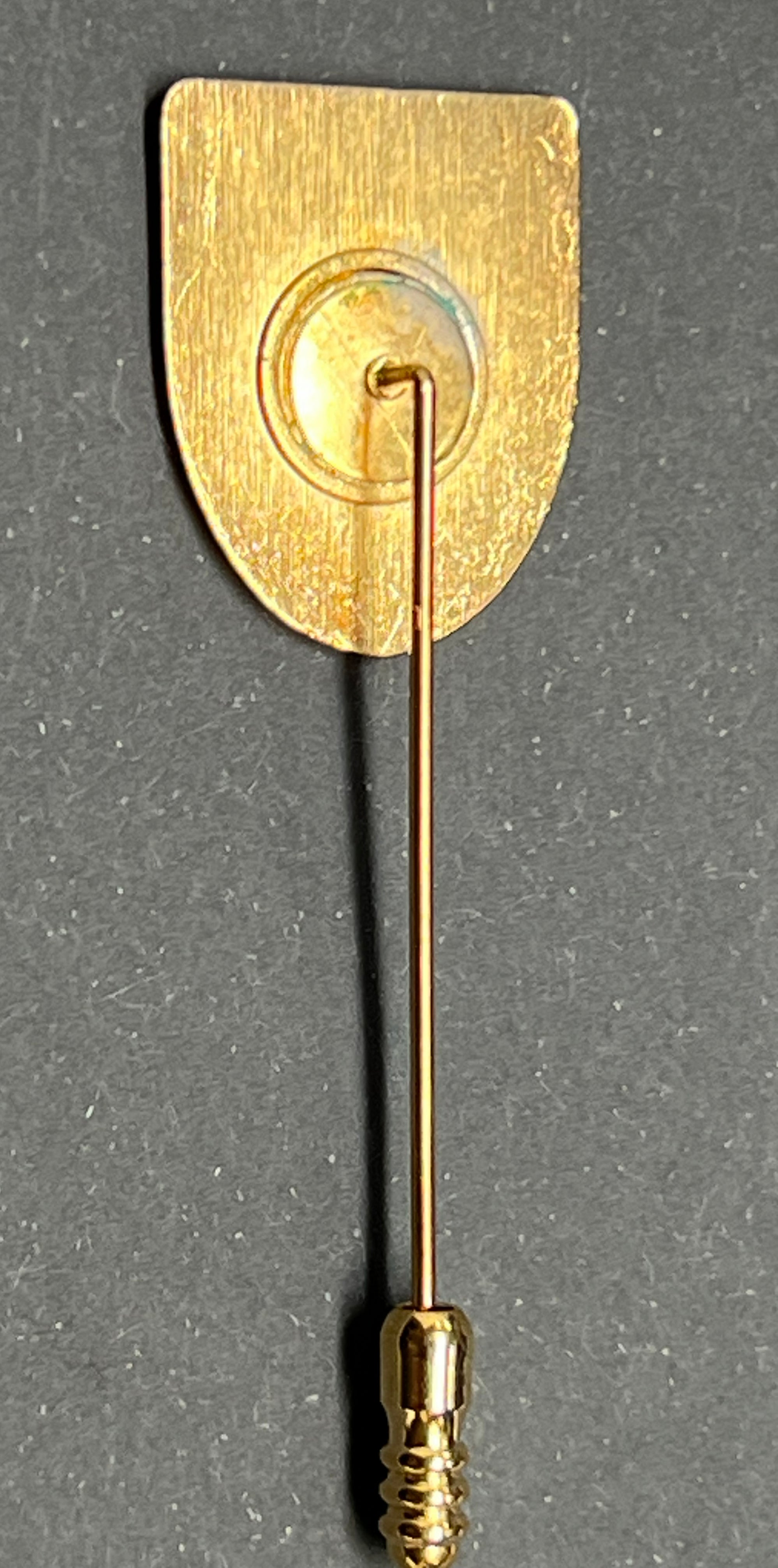 Anstecknadel "DOMING" Wappen