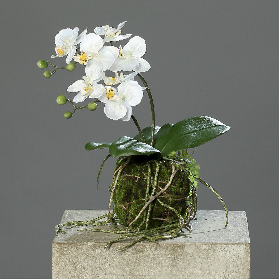 Kunstblume Orchidee mit Erdballen creme