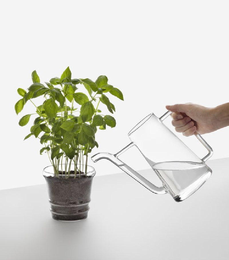 Glasgießkanne Boboli  für drinnen und draußen 20cm Transparent