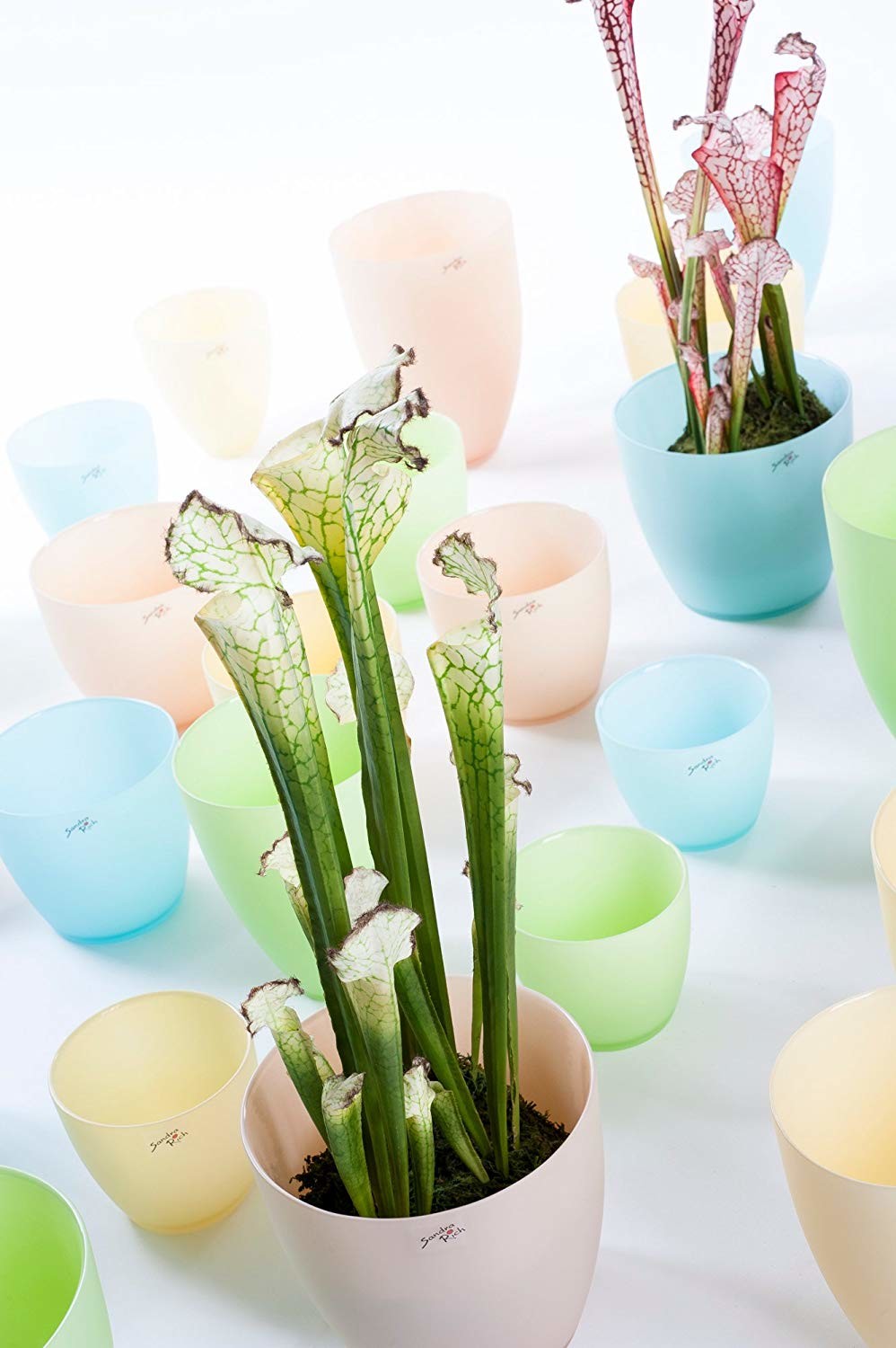 Blumentopf Silk hellgrün diverse Gr