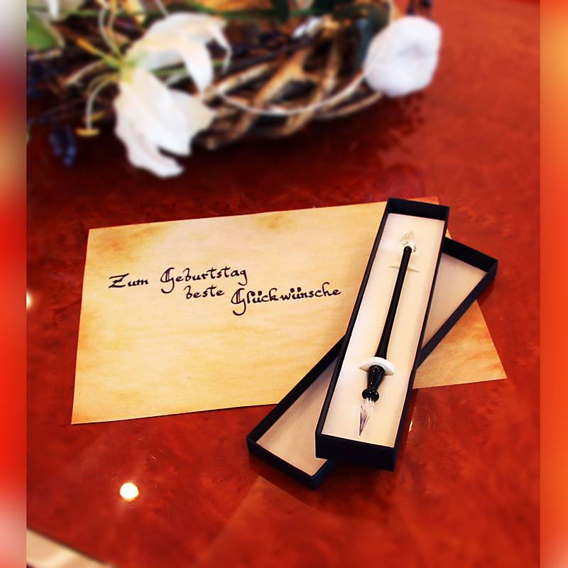 Geschenkverpackung "Feder" (23,5x5x2,5cm)