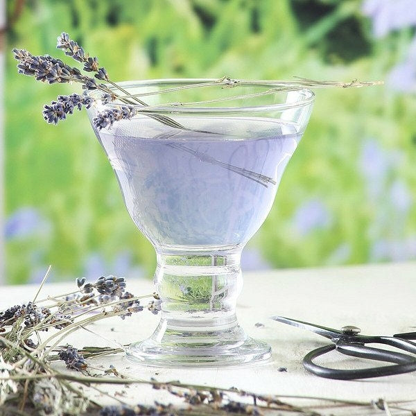 6 Dessertgläser Spring 225ml