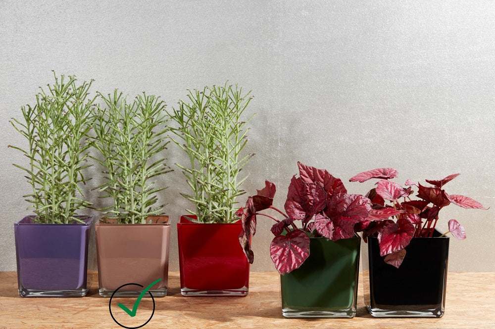 Blumenübertopf Glaswürfel Tischdekoration H 14cm
