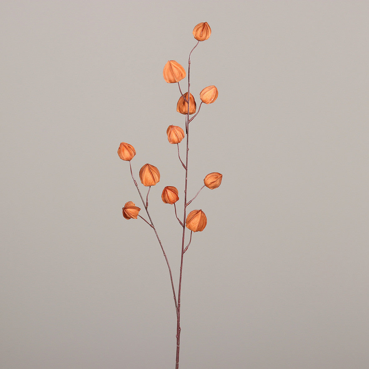 Kunstblume Physialis 90 cm brown